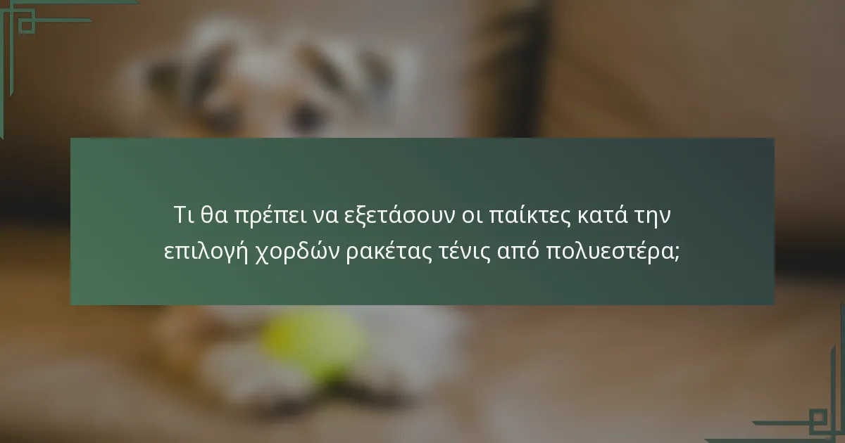 Τι θα πρέπει να εξετάσουν οι παίκτες κατά την επιλογή χορδών ρακέτας τένις από πολυεστέρα;